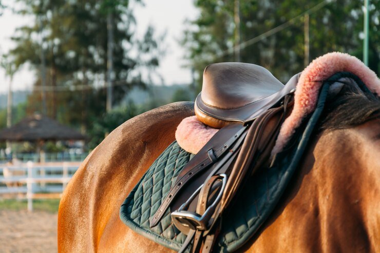 Horse Saddle Exporters In Germany, Horse Saddle Manufacturers In Germany, Horse Saddle Exporters In USA, Horse Saddle Manufacturers In USA, Horse Saddle Exporters In France, Horse Saddle Manufacturers In France, Horse Saddle Exporters In Greece, Horse Saddle Manufacturers In Greece, Horse Saddle Exporters In Sweden, Horse Saddle Manufacturers In Sweden, Horse Saddle Exporters In Indonesia, Horse Saddle Manufacturers In Indonesia, Horse Saddle Exporters In Australia, Horse Saddle Manufacturers In Australia, Horse Saddle Exporters In Netherland, Horse Saddle Manufacturers In Netherland, Horse Saddle Exporters In United Kingdom, Horse Saddle Manufacturers In United Kingdom, Horse Saddle Exporters In New Zealand, Horse Saddle Manufacturers In New Zealand